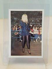Precious #13 Wrestling Cards 1988 Wonderama NWA Prices