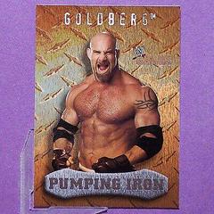 Goldberg #95 Wrestling Cards 2004 Fleer WWE Chaos Prices