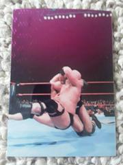 Stone Cold Steve Austin, The Rock Wrestling Cards 1999 WWF SmackDown Prices