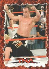 David Young #53 Wrestling Cards 2004 Pacific TNA Prices