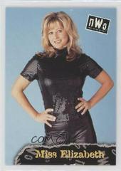 Miss Elizabeth #52 Wrestling Cards 1998 Topps WCW/nWo Prices