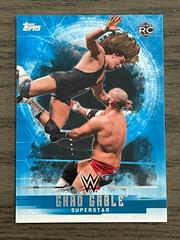 Chad Gable Wrestling Cards 2017 Topps WWE Undisputed Prices