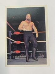 Warlord Wrestling Cards 1988 Wonderama NWA Prices