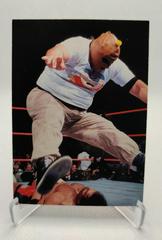Golga Wrestling Cards 1998 WWF Superstarz Prices