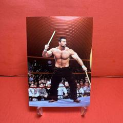 Steve Blackman #37 Wrestling Cards 1999 WWF SmackDown Chromium Prices