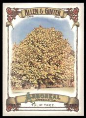 Tulip Tree Baseball Cards 2021 Topps Allen & Ginter Arboreal Appreciation Prices