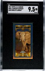 African Elephant Baseball Cards 2021 Topps Allen & Ginter Chrome Mini World’s Largest Prices