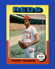 Pedro Borbon Baseball Cards 1975 O Pee Chee Prices