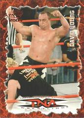 David Young [Red] #53 Wrestling Cards 2004 Pacific TNA Prices