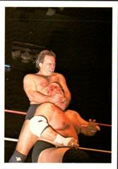 Larry Zbyszko, Dusty Rhodes #223 Wrestling Cards 1988 Wonderama NWA Prices