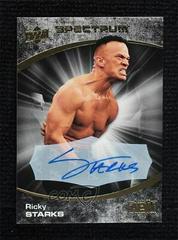 Ricky Starks [Dark Autograph] #13 Wrestling Cards 2021 Upper Deck AEW Spectrum Prices