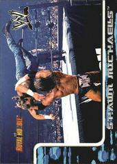 Shawn Michaels #23 Wrestling Cards 2002 Fleer WWF Royal Rumble Prices