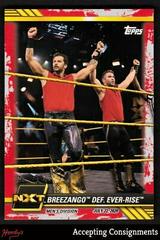 Breezango def. Ever Rise [Red] #48 Wrestling Cards 2021 Topps WWE NXT Prices