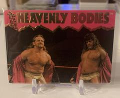 Heavenly Bodies Wrestling Cards 1995 Action Packed WWF Prices