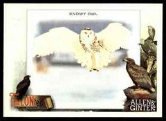 Snowy Owl Baseball Cards 2023 Topps Allen & Ginter TALON Ted Prices