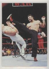 Steve Blackman Wrestling Cards 1998 WWF Superstarz Prices