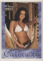 Dawn Marie Wrestling Cards 2003 Fleer WWE Divine Divas On Location Prices