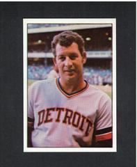 Mickey Lolich #21 Baseball Cards 1975 SSPC Superstars Prices
