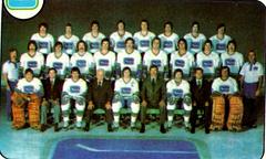 Canucks Team [Checklist] Hockey Cards 1978 Topps Prices