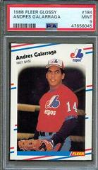 Andres Galarraga Baseball Cards 1988 Fleer Glossy Prices