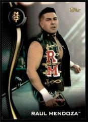 Raul Mendoza Wrestling Cards 2019 Topps WWE NXT Roster Prices