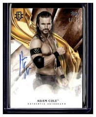 Adam Cole [Orange] #A-AC Wrestling Cards 2019 Topps WWE Undisputed Autographs Prices