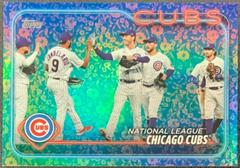 Chicago Cubs [Flowers] #165 Baseball Cards 2024 Topps Prices