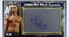 Jungle Boy Wrestling Cards 2022 Upper Deck AEW Jumbo Mat Relic Signatures Prices