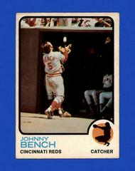 Johnny Bench #380 Baseball Cards 1973 O Pee Chee Prices