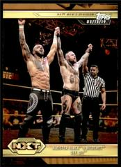 Aleister Black & Ricochet def. DIY [Bronze] Wrestling Cards 2019 Topps WWE NXT Prices