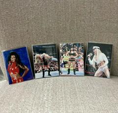 Sable Wrestling Cards 1998 WWF Superstarz Prices