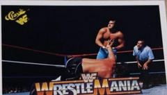 Honky Tonk Man, Jake 'The Snake' Roberts Wrestling Cards 1990 Classic WWF The History of Wrestlemania Prices