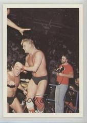 Barry Windham #222 Wrestling Cards 1988 Wonderama NWA Prices
