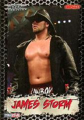 James Storm Wrestling Cards 2008 TriStar TNA Impact Prices