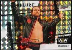 Adam Cole [Purple Diamond] Wrestling Cards 2022 Upper Deck Allure AEW Prices