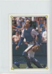 Gary Carter #101 Baseball Cards 1987 O Pee Chee Stickers Prices
