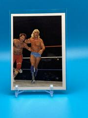 Ric Flair vs Robert Gibson #227 Wrestling Cards 1988 Wonderama NWA Prices