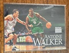 Antoine Walker #41 Basketball Cards 1999 SkyBox Premium Prices
