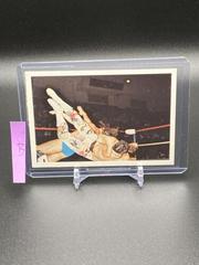 Chris Champion Wrestling Cards 1988 Wonderama NWA Prices