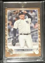 Anthony Rizzo [Camo] #242 Baseball Cards 2022 Topps Prices