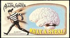 Albert Einstein's Brain Baseball Cards 2022 Topps Allen & Ginter Mini What a Steal Prices