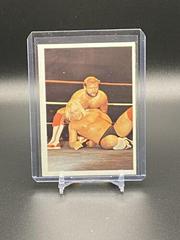 Arn Anderson, Barry Windham Wrestling Cards 1988 Wonderama NWA Prices