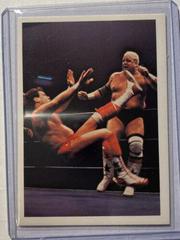 Dusty Rhodes, Tully Blanchard #3 Wrestling Cards 1988 Wonderama NWA Prices