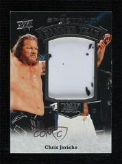 Chris Jericho #BY-6 Wrestling Cards 2021 Upper Deck AEW Spectrum Banner Year Prices
