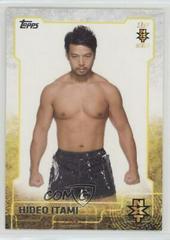 Hideo Itami Wrestling Cards 2015 Topps WWE NXT Prospects Prices