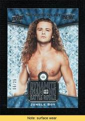 Jungle Boy #DBR-15 Wrestling Cards 2021 Upper Deck AEW Spectrum Diamond Battle Royale Relics Prices