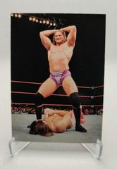 Val Venis #48 Wrestling Cards 1998 WWF Superstarz Prices