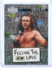 Jungle Boy' Jack Perry #FL-12 Wrestling Cards 2022 SkyBox Metal Universe AEW Feeling the Love Prices