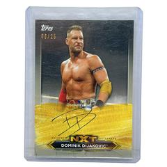 Dominik Dijakovic [Silver] Wrestling Cards 2020 Topps WWE NXT Roster Autographs Prices
