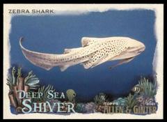 Zebra Shark Baseball Cards 2021 Topps Allen & Ginter Deep Sea Shiver Prices
